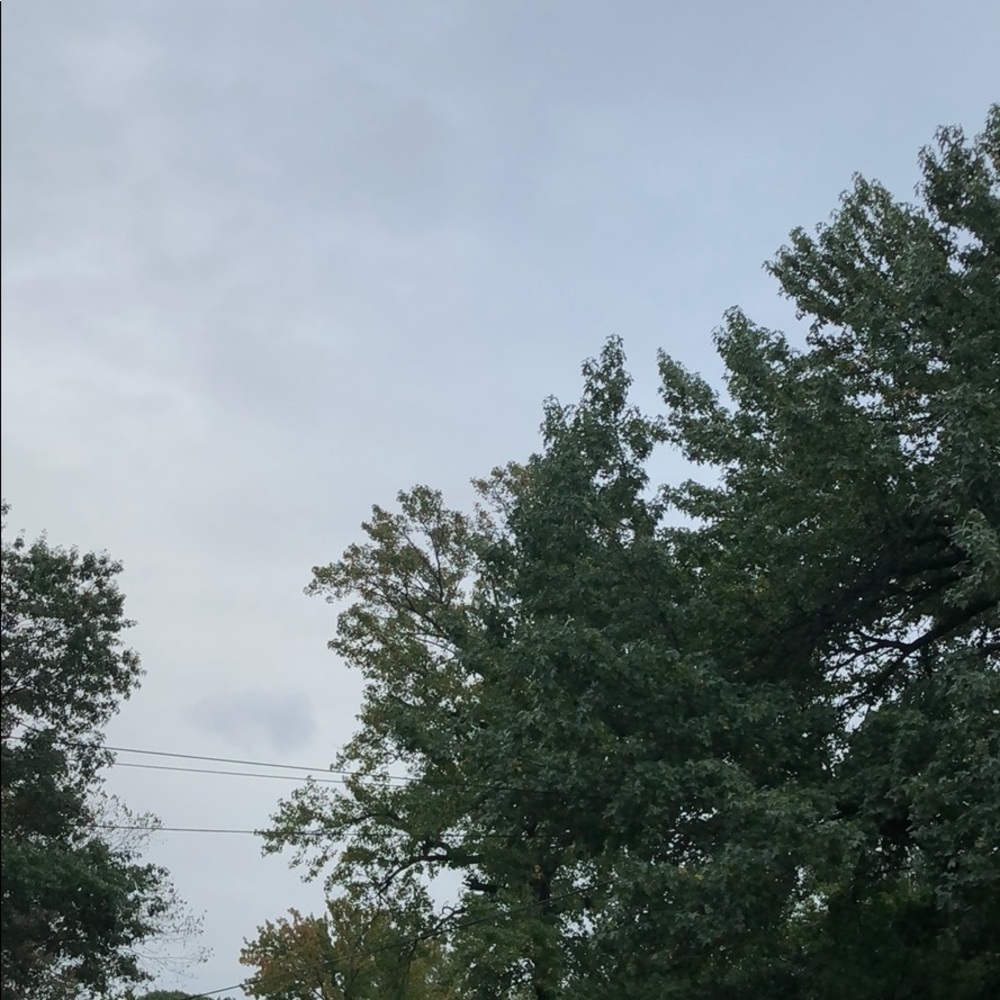 Meet your Posher, Hyon